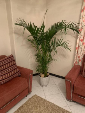 Saudi Community Hotel Apartments in Nasr City
